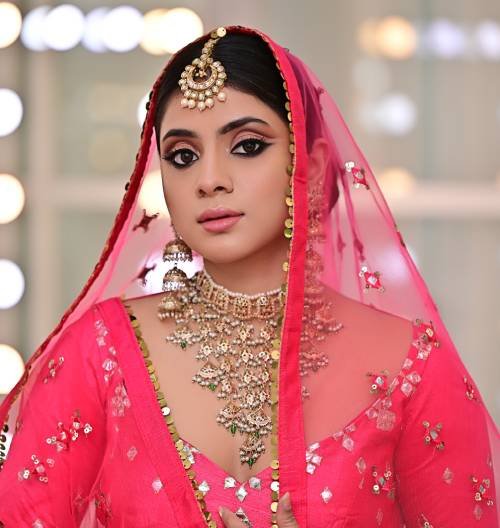 New Jersey Punjabi Bridal Makeup Artists - NJ Punjabi Makeup & Hair Services